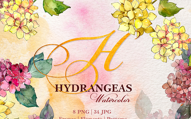 Hortensior gul-rosa akvarell png - Illustration