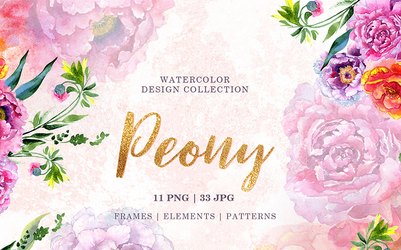 Pfingstrose Rot und Rosa Aquarell Png - Illustration