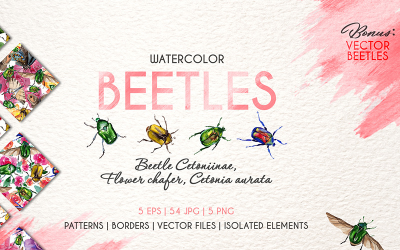 Download Иллюстрация "Beetle Cetoniinae, Flower Watercolor png - Illustration" / Beetle Cetoniinae, Flower Watercolor png - Illustration - Иллюстрация на тему графика beetle cetoniinae flower watercolor png