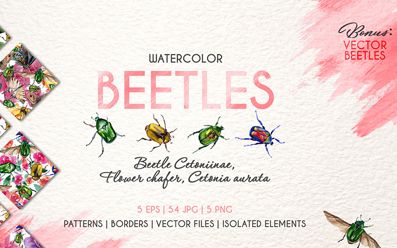 Beetle Cetoniinae, Flower Watercolor png - Illustration