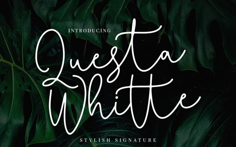 Download Шрифт "Questa Whitte Cursive Font" / Questa Whitte Cursive Font - Шрифт на тему графика handwriting,handwritten,script,casual,natural,fashion,logo,typography,signature,branding,vintage,retro,brush,stylish,elegant
