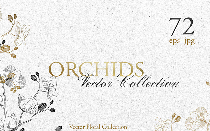 Branch Of Orchids Vector Watercolor - Illustration
