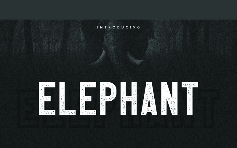 Download Шрифт "Elephant Font" / Elephant Font - Шрифт на тему графика display branding fontfamily typeface font print handmade custom poster creative