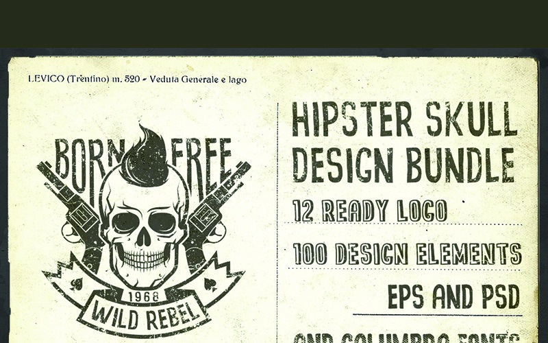 Hipster Skull Design-bundel - illustratie