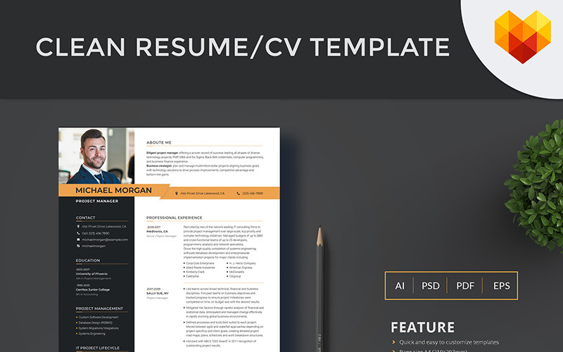 Michael Morgan - Plantilla de curriculum vitae de Project Manager