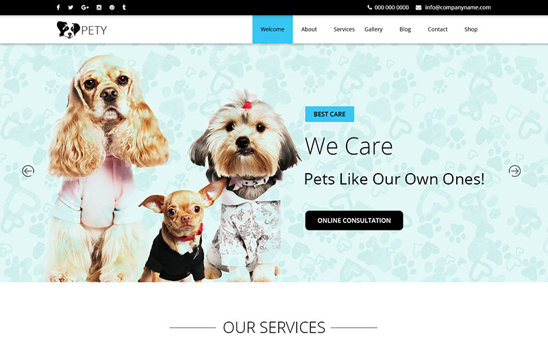 Download PSD шаблон "Pety - Multipurpose Pet Care PSD Template" / Pety - Multipurpose Pet Care PSD Template - PSD шаблон на тему графика pet care dog cat horse psd photoshop theme template