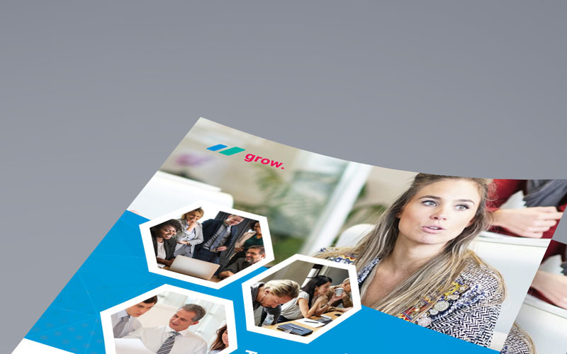 Download Фирменный стиль "Grow Flyer - Corporate Identity Template" / Grow Flyer - Corporate Identity Template - Фирменный стиль на тему графика flyer corporate corporate creative flyer travel business card card liflet computer internet stationery id kit blue hi-quality official symple green