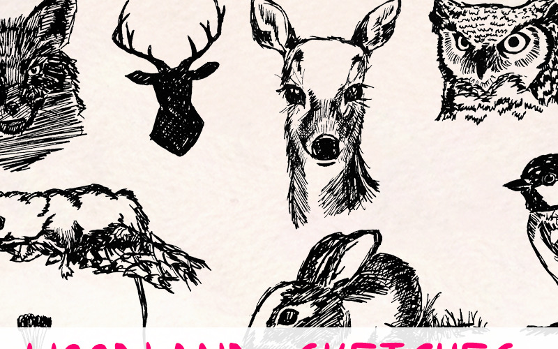 Download Иллюстрация "19 Forest Woodland - Illustration" / 19 Forest Woodland - Illustration - Иллюстрация на тему графика graphics blog illustration vector commercial use hand drawn website etsy seller shop woodland clipart animal clip art