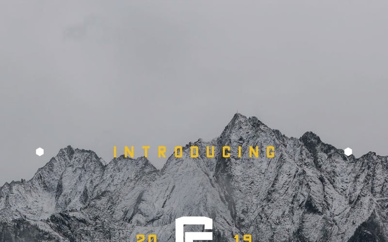 GoldinFinance Lettertype