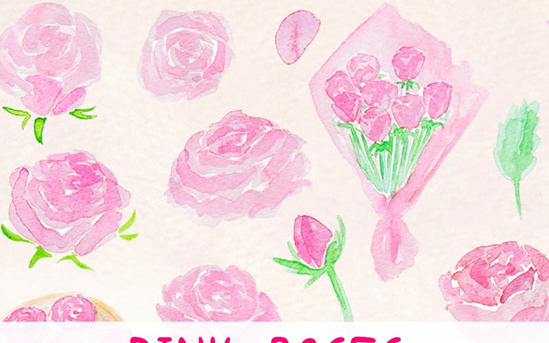 31 Női rózsaszín rózsa - illusztráció