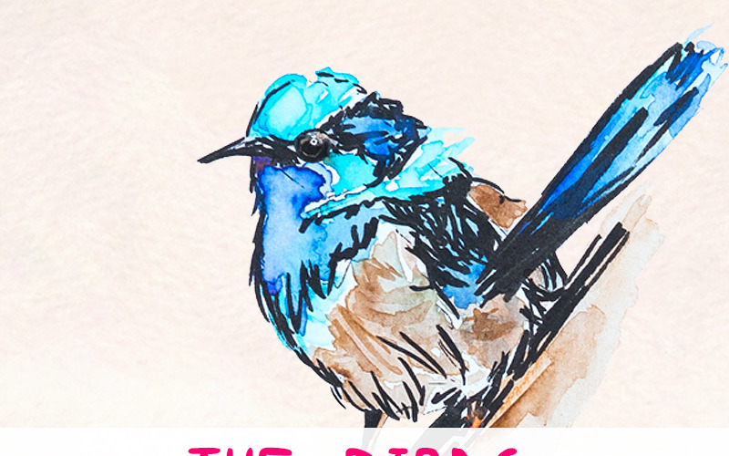 20 gráficos coloridos de pássaros em aquarela - ilustração