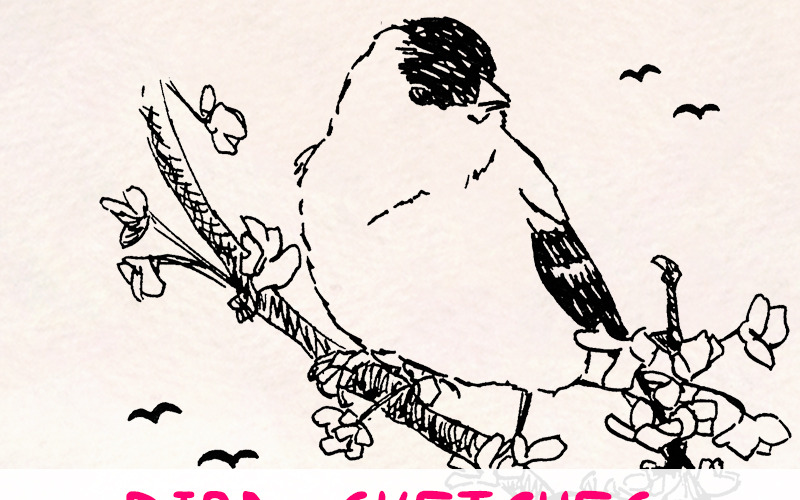 16 inkoustových prvků skici ptáků - sovy, kachny a zpěvný pták - ilustrace