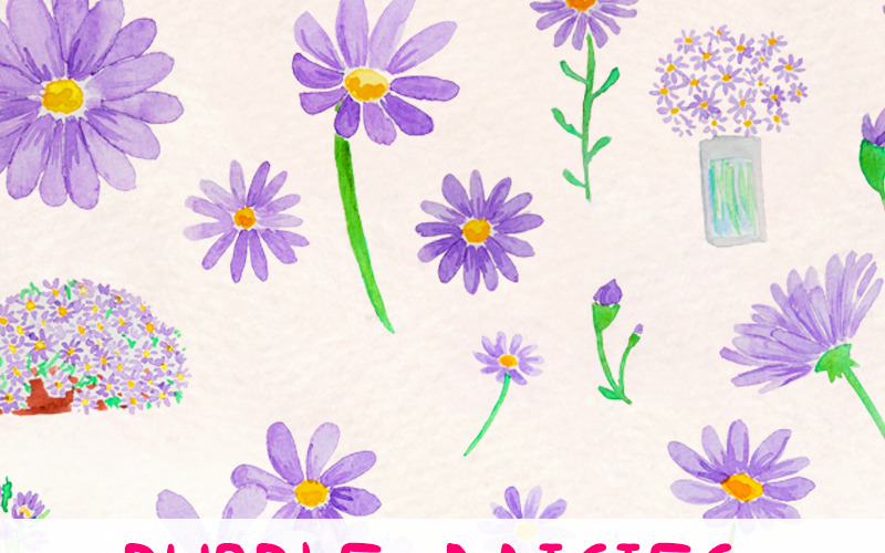 32 Śliczne fioletowe stokrotki - ilustracja