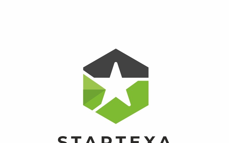 Szablon Logo Gwiazda Tech