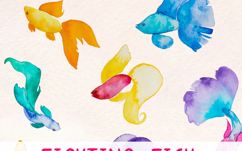 Download Иллюстрация "13 Beta Fish Elements - Illustration" / 13 Beta Fish Elements - Illustration - Иллюстрация на тему графика fighting fish beta clipart graphics rainbow watercolour pretty siamese commercial use