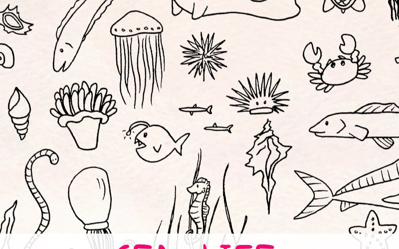 60 Havs- och havsdjur - Illustration