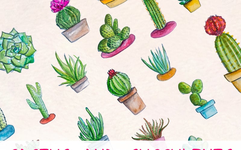 24 Kaktus i soczysty - ilustracja