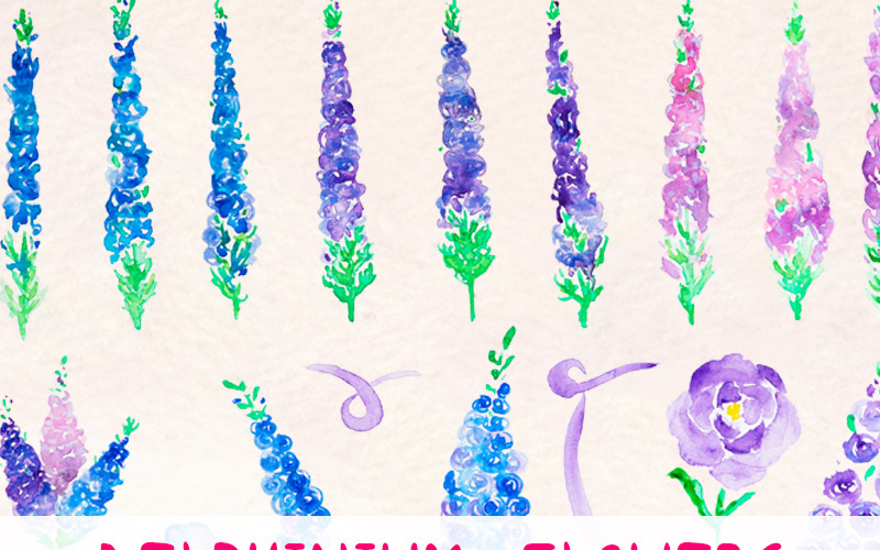 37 Larkspur Delphinium Çiçeği - İllüstrasyon
