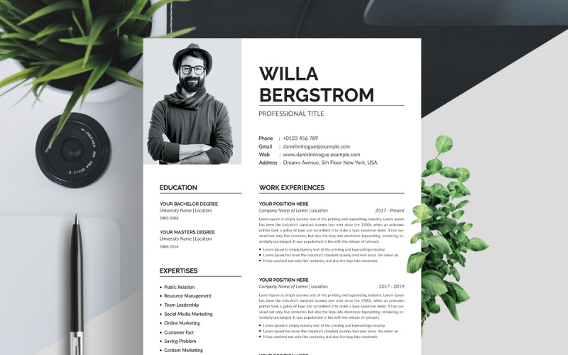 Шаблон резюме Willa Bergstrom