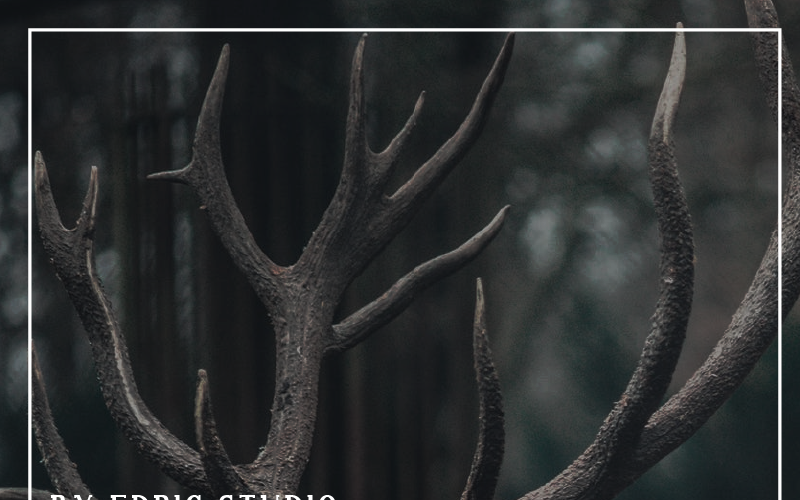 Download Шрифт "Brian Worth Font" / Brian Worth Font - Шрифт на тему графика american antique billboard brands british cafe signage classic corporate country display education fancy flyer font food label logo menu motorcycle