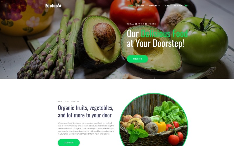 Ecolus - Bioélelmiszerek szállítása E-kereskedelem Modern WordPress Elementor téma