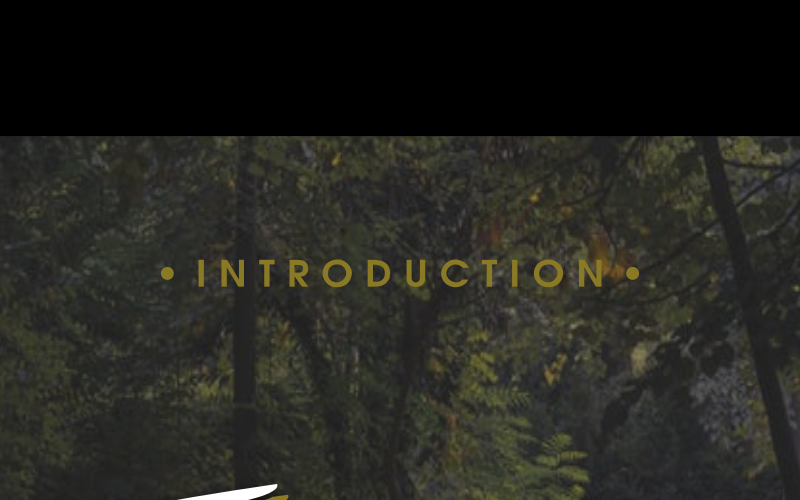 Download Шрифт "Twopath Font" / Twopath Font - Шрифт на тему графика beautiful branding brush calligraphy flyer font hand drawn headline imperfect ink irregular lettering logo movie natural packaging poster retro rusty