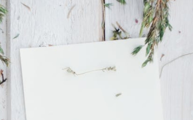 Download Шрифт "Flower Adaline Font" / Flower Adaline Font - Шрифт на тему графика beautiful branding classy elegant font fresh handwriting feminine handwritten logo modern natural new old photography script signature simple sophisticated strong