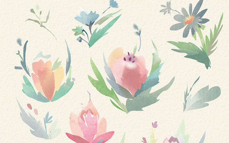 19 Teneri fiori estivi - Illustrazione