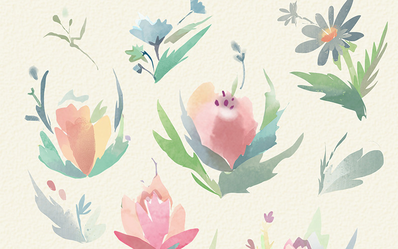 19 нежных летних цветов - Иллюстрация