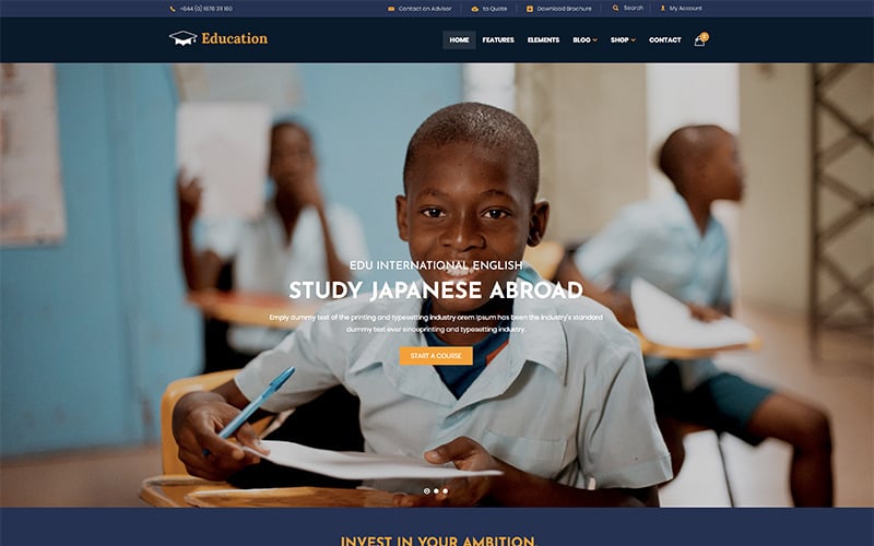 образование wordpress тема