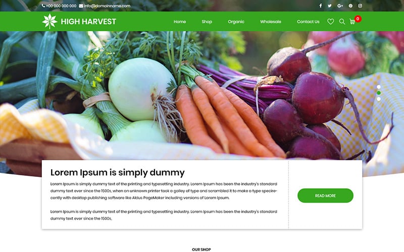 High Harvest - PSD-Vorlage für Bio-Lebensmittelgeschäfte