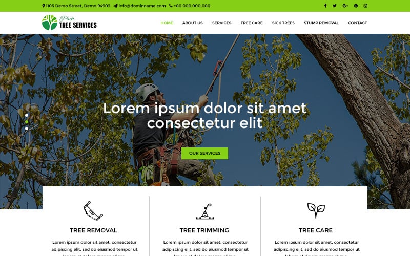 Pach Tree Services - Tree Services PSD Template