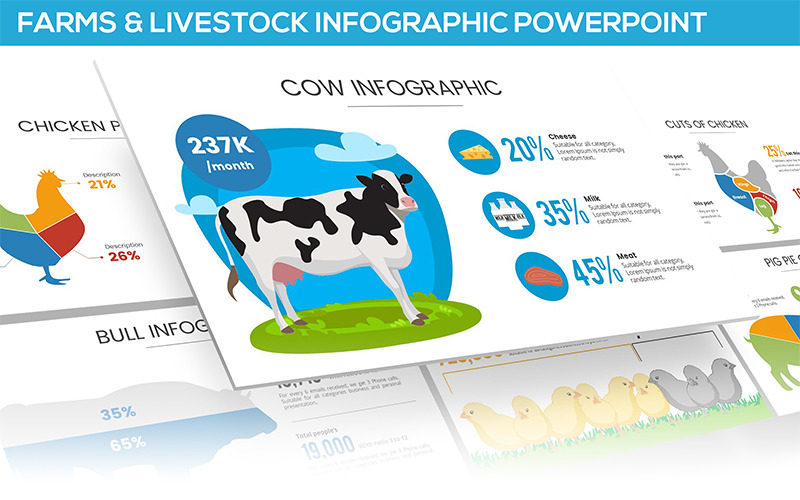 Farmy a hospodářská zvířata Infographic pro šablonu PowerPoint