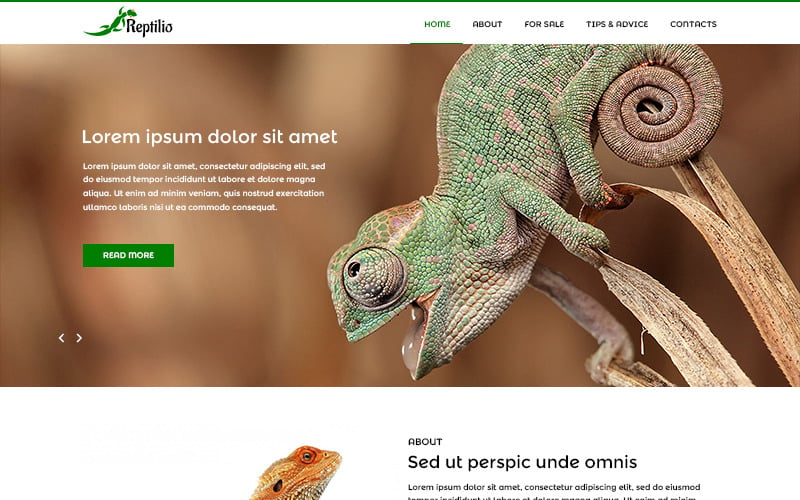 Reptilio - Plantilla PSD de reptiles