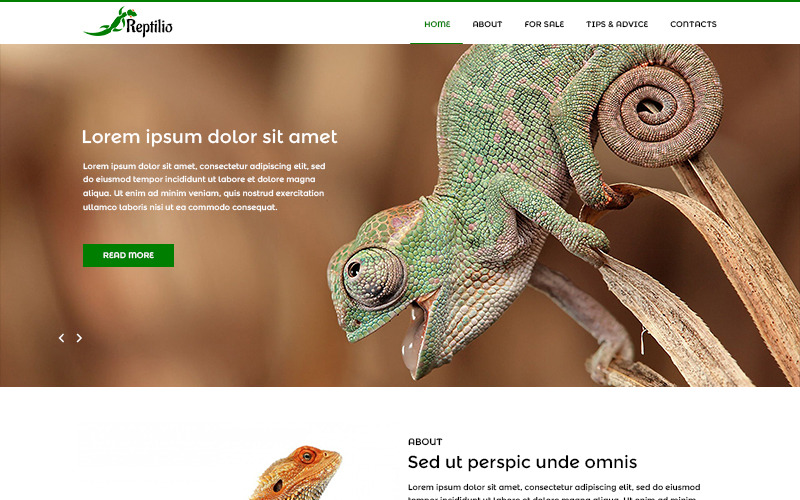Reptilio - Template Reptile PSD
