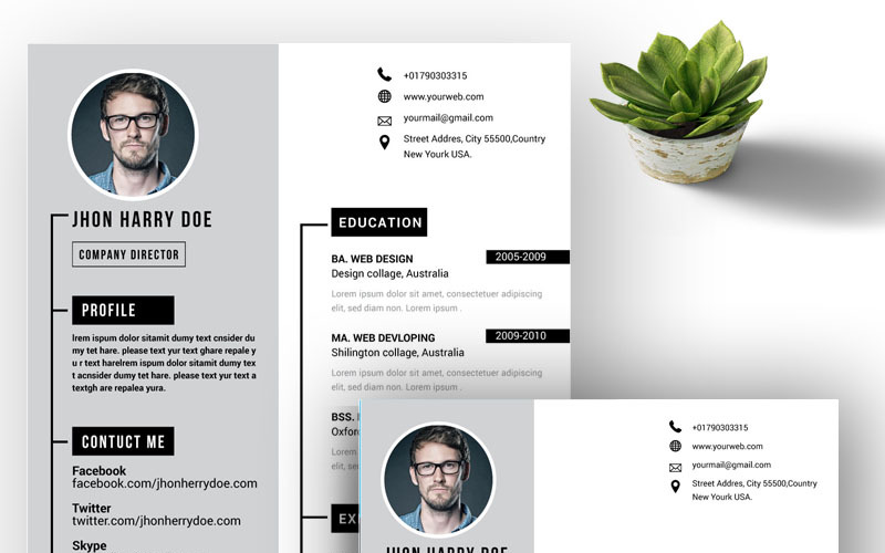 Download Резюме "Doe Resume Template" / Doe Resume Template - Резюме на тему графика job resume simple cv the experience free corporate design template wor professional indesign