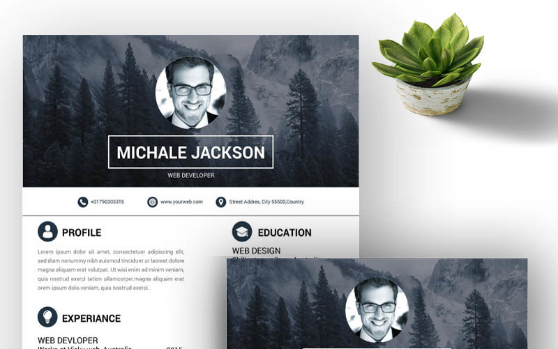 Download Резюме "Micheal Resume Template" / Micheal Resume Template - Резюме на тему графика job resume simple cv the experience free corporate design template wor professional indesign