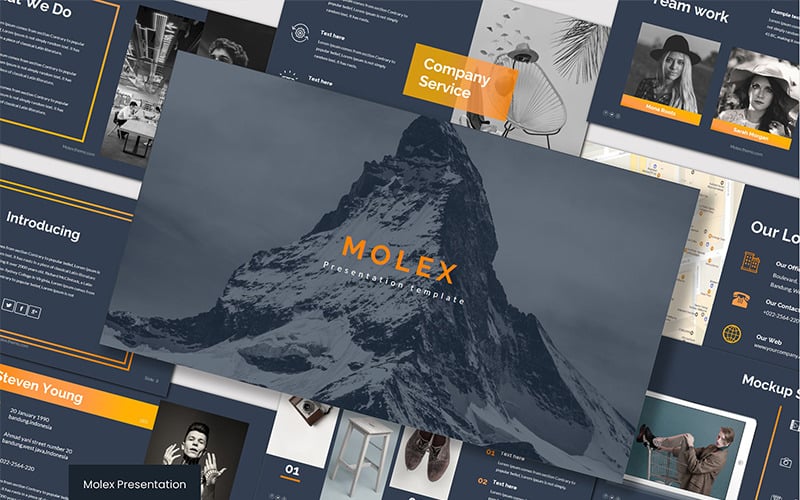 Molex PowerPoint-sjabloon