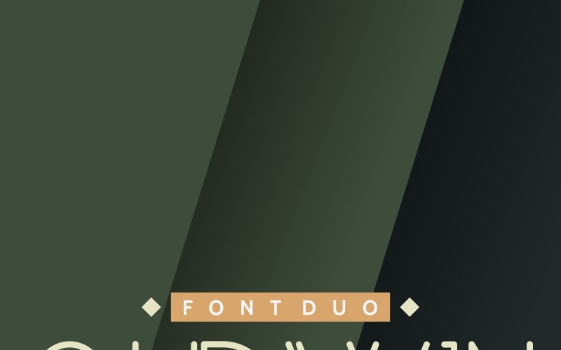 Oldwin Lettertype