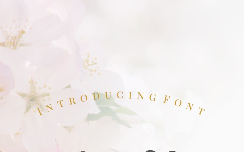 Daysha - Fonte de casamento