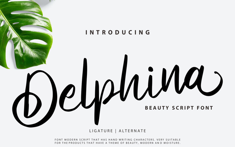 Delfin | Beauty Cursive Schriftart