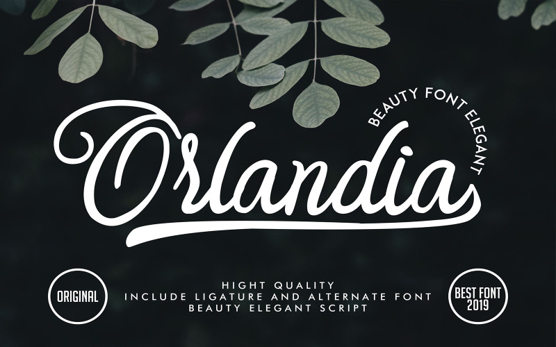 Orlandia | Schoonheid elegant lettertype