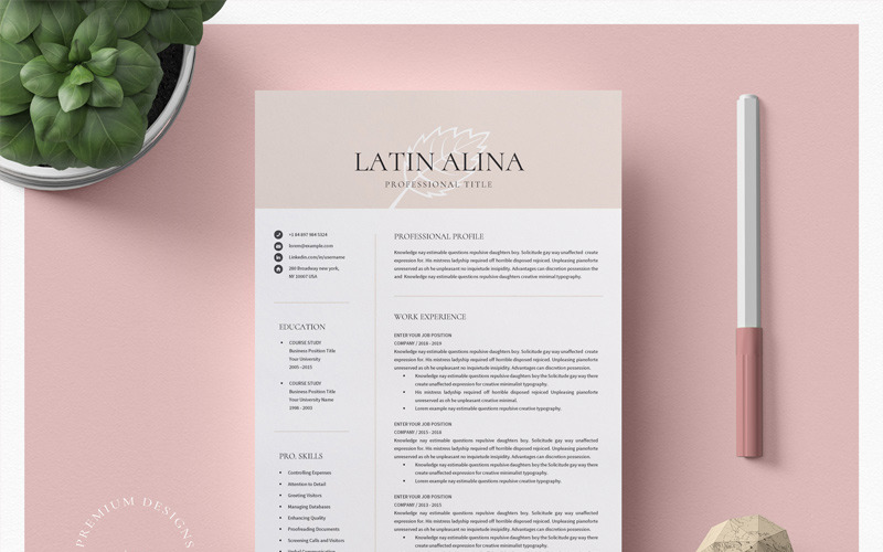 Шаблон профессионального резюме Latin Alina