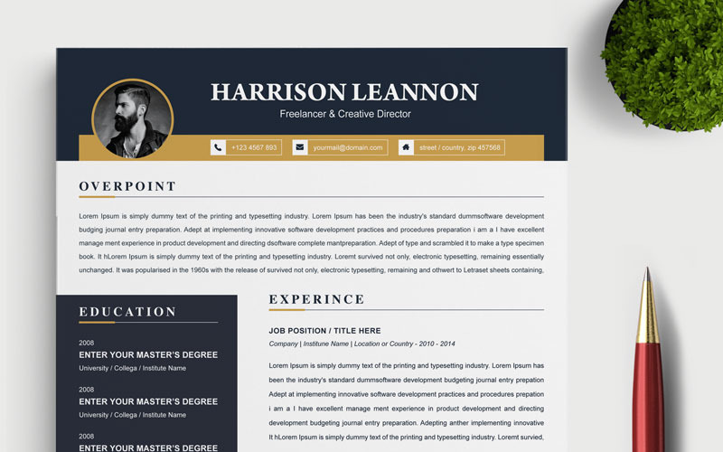 Download Резюме "Leannon Resume Template" / Leannon Resume Template - Резюме на тему графика 2 page a4 clean cv design elegant resume female feminine infographic letter minimalist modern portfolio professional indesign minimal pages