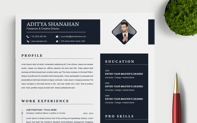 Download Резюме "Shanahan Resume Template" / Shanahan Resume Template - Резюме на тему графика 2 page a4 clean cv design elegant resume female feminine infographic letter minimalist modern portfolio professional indesign minimal pages