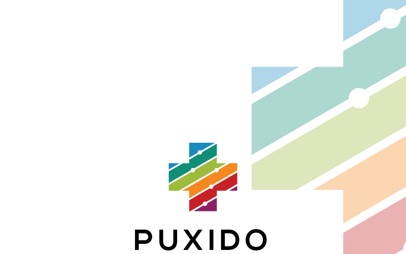 Download Шаблон логотипа "Puxido Logo Template" / Puxido Logo Template - Шаблон логотипа на тему графика 