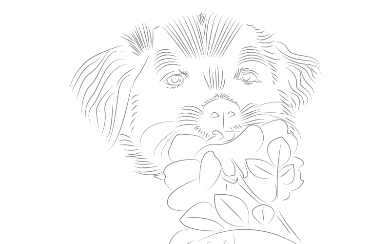 Download Шаблон логотипа "Puppy Logo Template" / Puppy Logo Template - Шаблон логотипа на тему графика puppy logo template dog holding flower mouth