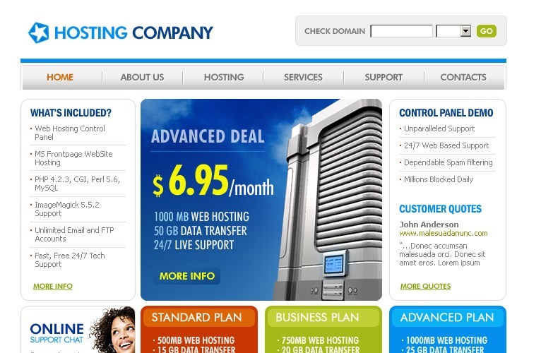 Hosting Flash Template 8576