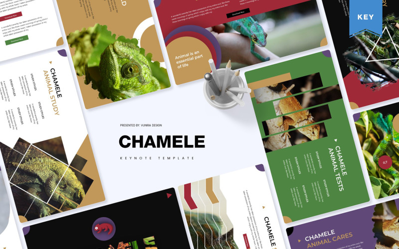 Chamele - Keynote şablonu