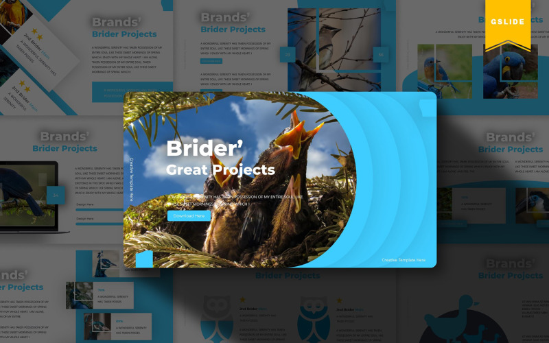 Brider | Apresentações Google
